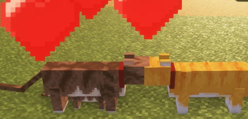 Cat Outbreak Causes Mass Slaughter